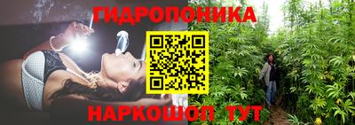 эйфоретик Чапаевск