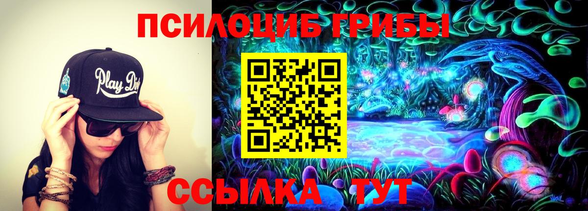 Псилоцибиновые грибы мицелий  Вход с VPN  Ачинск 
